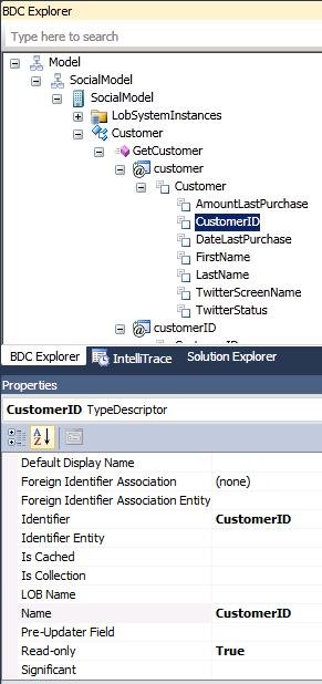 BDC Explorer (BDC エクスプローラー) ウィンドウを使用した TypeDescriptor のプロパティの設定