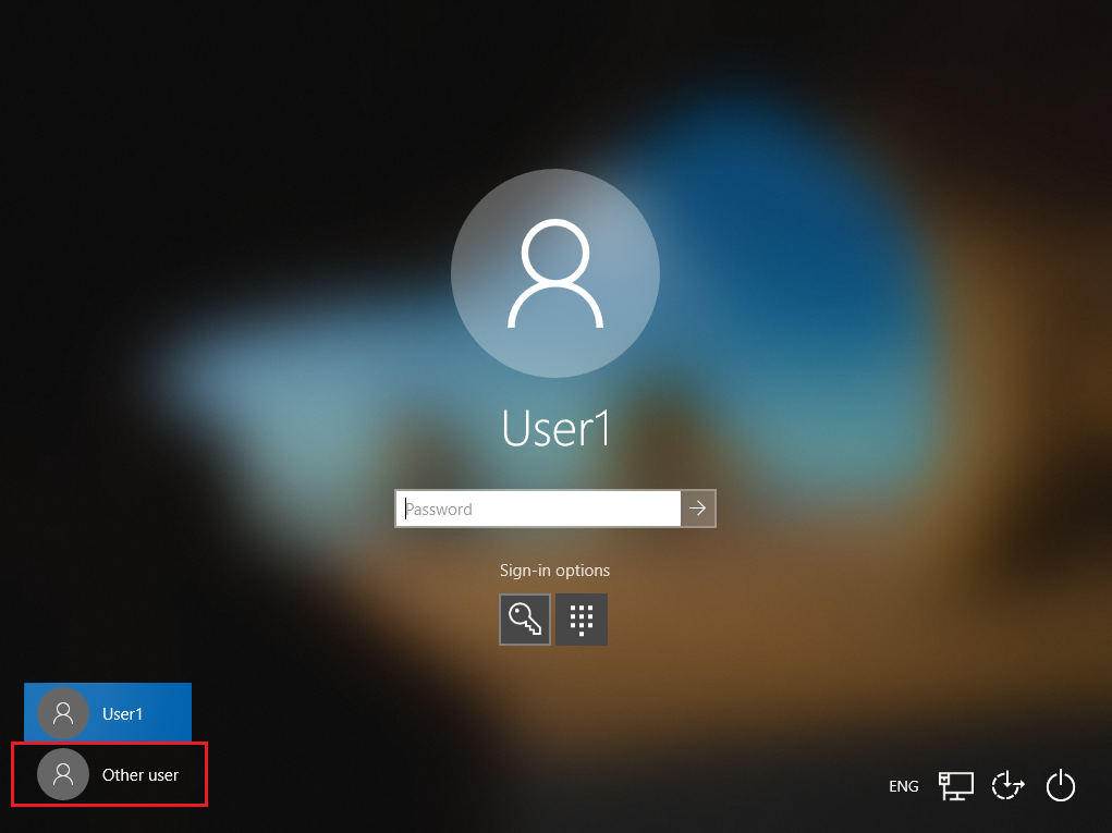 サインイン画面の User-1 と Other-user ドメインのスクリーンショット。