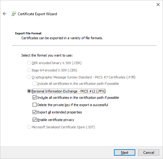 いくつかのオプションが選択されている [Certificate export wizard]\(証明書のエクスポート ウィザード\)