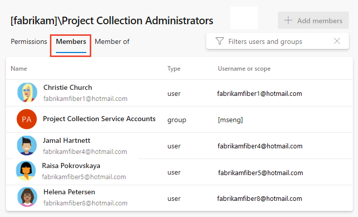 スクリーンショットは、[プロジェクト コレクションのアクセス許可] 管理istrators グループの [メンバー] タブを示しています。