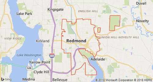 Image showing Redmond polygon