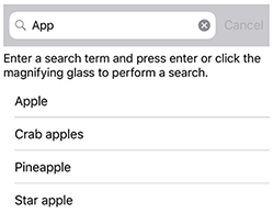 Screenshot of a SearchBar.