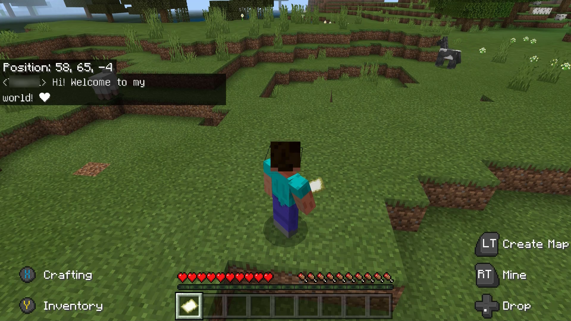 Minecraft のキャラクター、スティーブがフィールドに立っています。 プレイヤーがこのキャラクターに「こんにちは! 私の世界へようこそ! ハートの絵文字」というメッセージを送信しました。