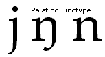 Screenshot that shows a lowercase eng in between lowercase letters J and N in Palatino Linotype font.