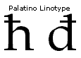 Screenshot that shows a lowercase H with a stroke and lowercase D with a stroke in Palatino Linotype.