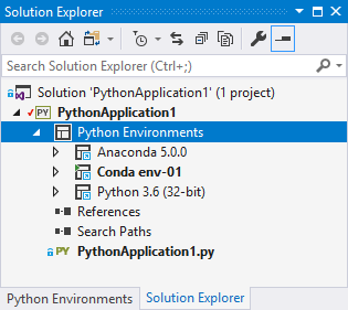 Multiple Python environments shown in Solution Explorer