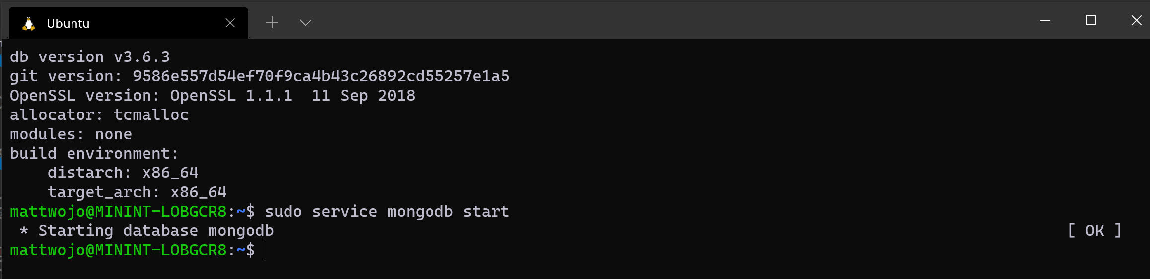 Running MongoDB in Ubuntu via WSL