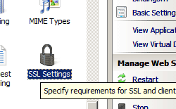 SSL 설정 아이콘이 강조 표시된 홈 창의 스크린샷