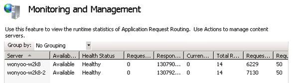 모니터링 및 관리 기능 페이지의 스크린샷. 애플리케이션 요청 라우팅의 런타임 통계가 표시됩니다.