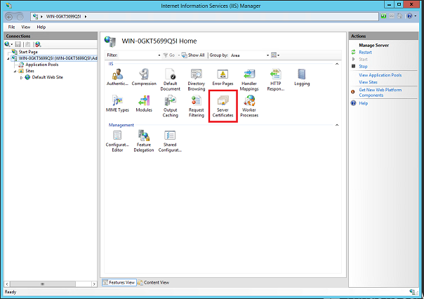 서버 인증서가 강조 표시된 인터넷 Service Manager 페이지의 서버 기능 보기 이미지