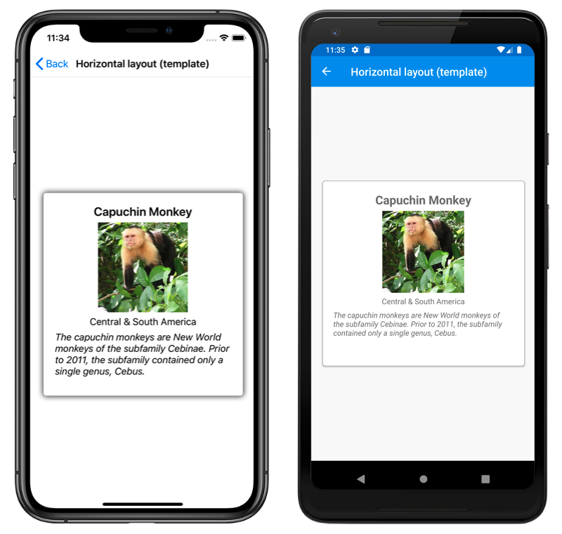 Xamarinforms Carouselview Data Xamarin Microsoft Docs