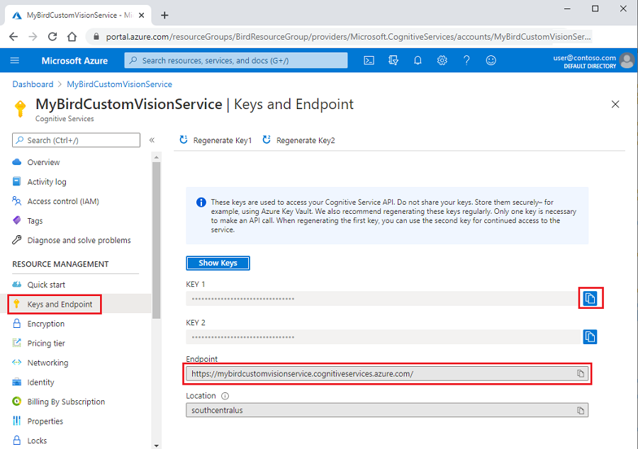 Screenshot that highlights the endpoint and key values for a Custom Vision resource in the Azure portal.