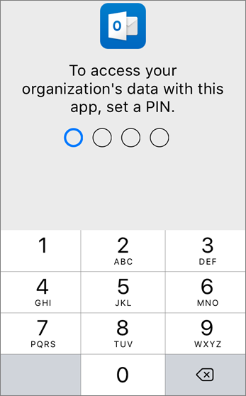 Set a PIN to access your organization's data.