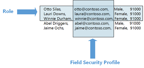 Role-based compared to field-level security.