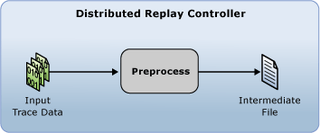 Diagram showing the Distributed Replay preprocess stage.