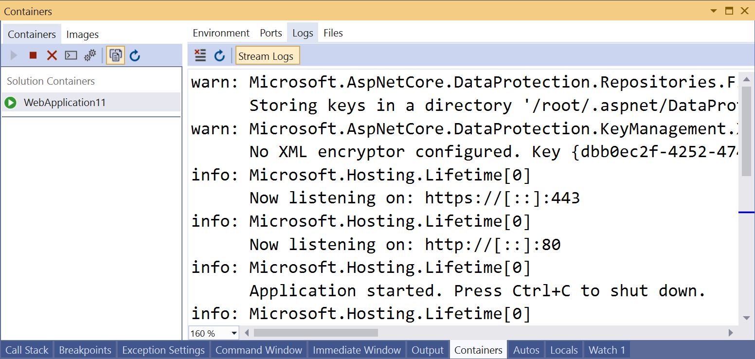 Screenshot of Logs tab in Containers window.