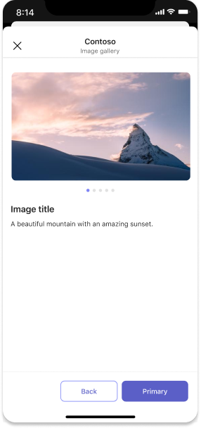 Example image gallery in a dialog on mobile.