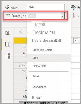 Screenshot of the Data type ribbon, showing it in the Data View.