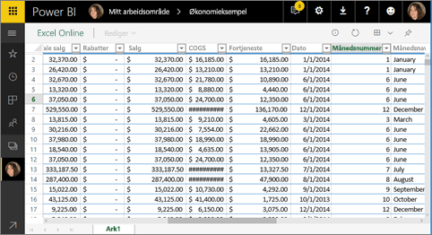 Screenshot showing Excel Online in Power BI.