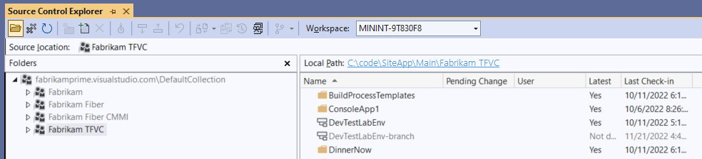 Schermopname van Source Control Explorer in Visual Studio. Een lokaal pad en verschillende mappen en vertakkingen zijn zichtbaar.
