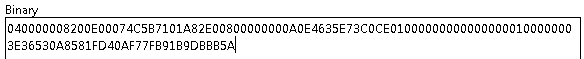 Schermopname van de binaire waarde van de tag 0x80000102.