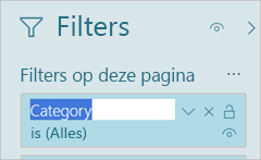Screenshot of the Filters pane, highlighting the filter title.