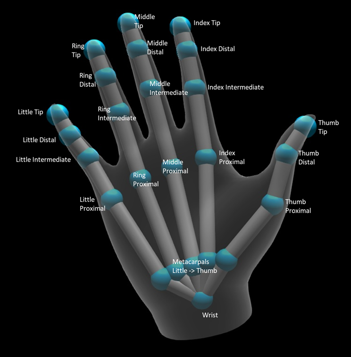 Hand skeleton image with joints overlay