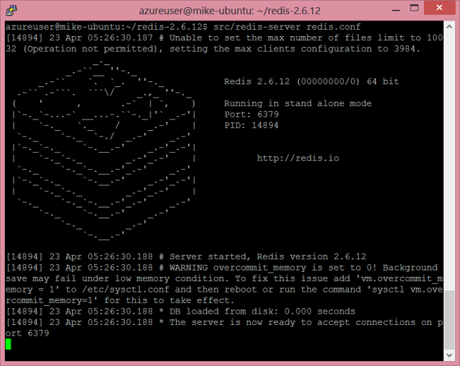 Zrzut ekranu przedstawiający okno serwera Redis użytkownika platformy Azure z informacjami o serwerze, w tym o tym, kiedy serwer został uruchomiony i stan pamięci.