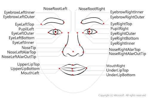 Diagram twarzy ze wszystkimi 27 punktami orientacyjnymi oznaczonymi etykietą