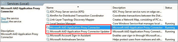 Zrzut ekranu przedstawiający łącznik sieci prywatnej i usługi aktualizatora łączników w Menedżerze usług systemu Windows.
