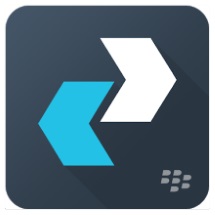 Aplikacja partnerska — ikona aplikacji Blackberry Enterprise BRIDGE