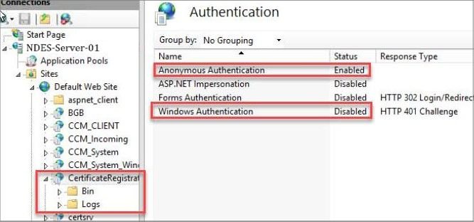 Zrzut ekranu przedstawiający uprawnienia uwierzytelniania anonimowego i uwierzytelniania systemu Windows.
