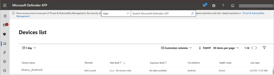 Urządzenie w portalu Ochrona punktu końcowego w usłudze Microsoft Defender