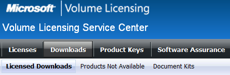 Zrzut ekranu przedstawiający kartę Licencjonowane pliki do pobrania w Centrum usługi licencjonowania zbiorowego.