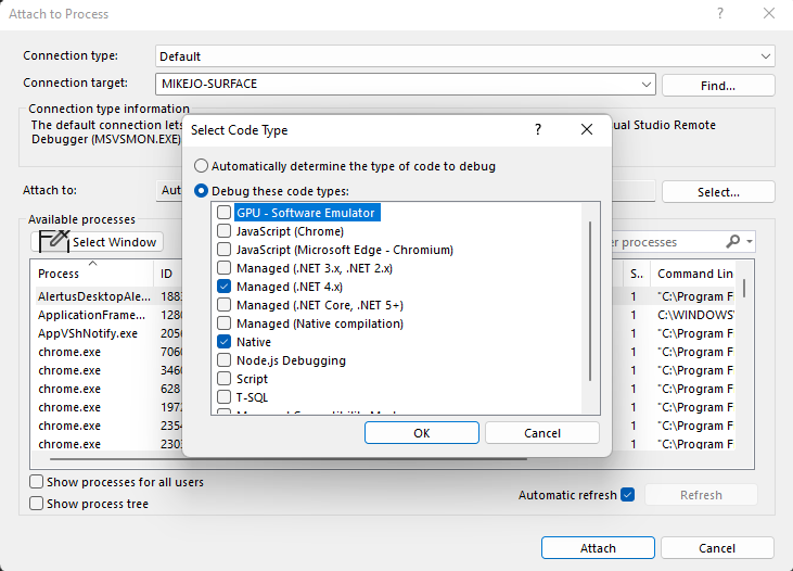 Screenshot showing the codes types selected in the Attach To Process dialog.