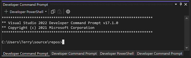 Zrzut ekranu przedstawiający okienko terminalu programu Visual Studio z wieloma kartami.