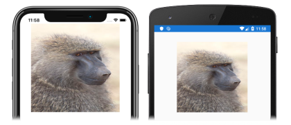 Zrzut ekranu przedstawiający obraz, którego rozmiar jest inny w systemach iOS i Android