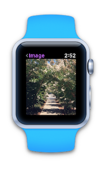 Apple Watch showing picture