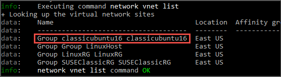 Captura de tela da linha de comando com o nome inteiro da rede virtual realçado.