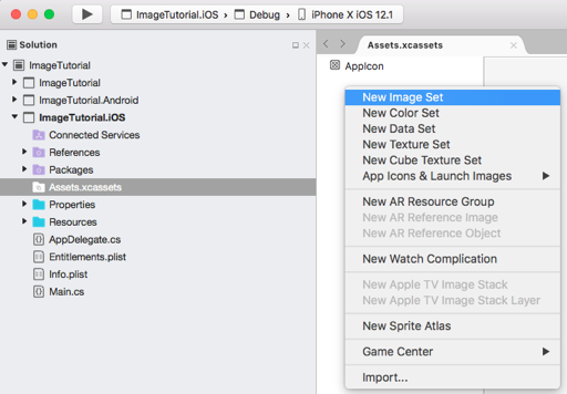 Captura de tela da criação de um conjunto de imagens no catálogo de ativos no Visual Studio para Mac