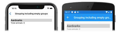 Captura de tela de um grupo vazio em um CollectionView, no iOS e no Android