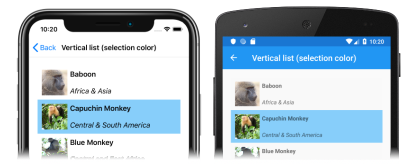 Captura de tela de uma lista vertical CollectionView com uma cor de seleção única personalizada, na lista vertical iOS e Android