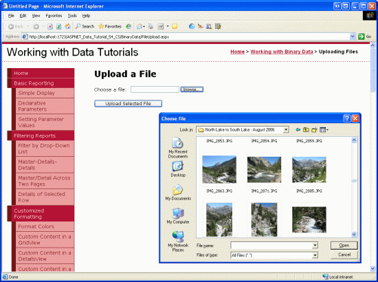 O usuário pode selecionar um arquivo para carregar de seu computador para o servidor