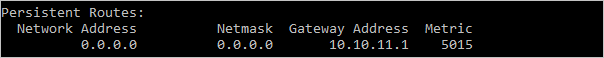 A rota adicionada é mostrada como uma Rota Persistente com o Endereço do Gateway 10.10.11.1 e a Métrica 5015.