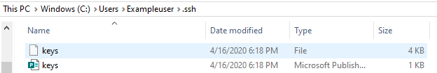 Captura de tela dos arquivos de par de chaves no Windows Explorador de Arquivos.