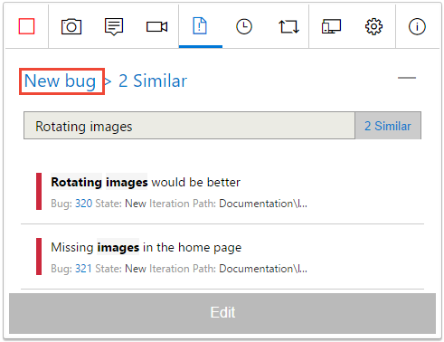 Captura de tela mostrando Voltando ao formulário de detalhes do bug.