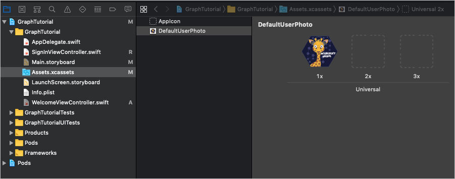 Uma captura de tela do exibição de ativo Conjunto de Imagens em Xcode