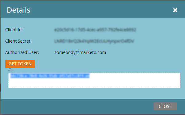Captura de tela mostrando os detalhes de acesso da API do Marketo.