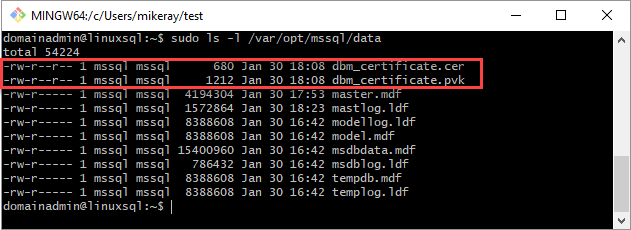Captura de tela de uma janela do Git Bash mostrando o .cer e o .pvk na pasta /var/opt/mssql/data.
