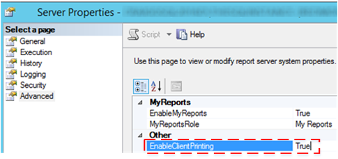 Screenshot of the EnableClientPrinting option.